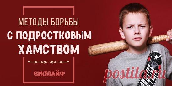 Методы борьбы с подростковым хамством