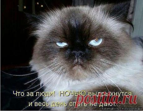 ((((Положительное Настроение))))
Петр Рубашкин