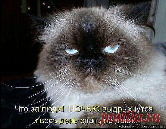 ((((Положительное Настроение))))
Петр Рубашкин