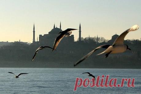 Транзит судов через Босфор остановлен из-за появившегося российского танкера. Транзит судов через Босфорский пролив остановили на неопределенный срок из-за танкера, следовавшего из России, который перекрыл водяной проход. Отмечается, что 250-метровый танкер Peria под флагом Либерии следовали из РФ в Измир. Отмечается, что из-за непогоды у судна самоопустился якорь.