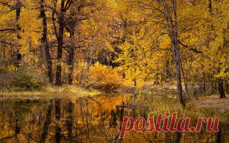 Фотограф Саша Тайсон "Дух осени"