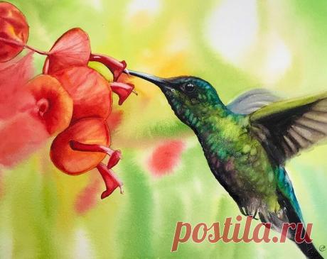 Художница Maria Raczynska и ее верные друзья