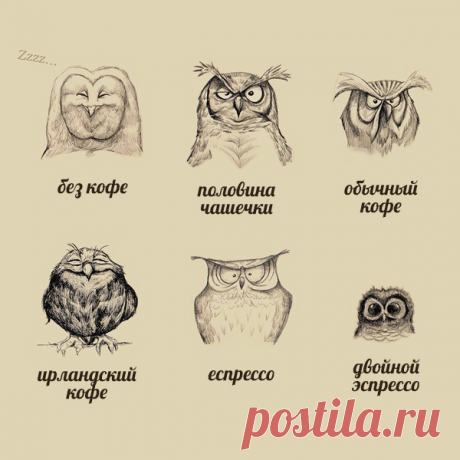 Вот такое меню мне нужно по утрам 😁 ☕