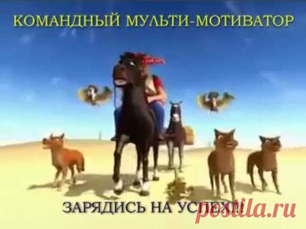 Светлана Ларченко