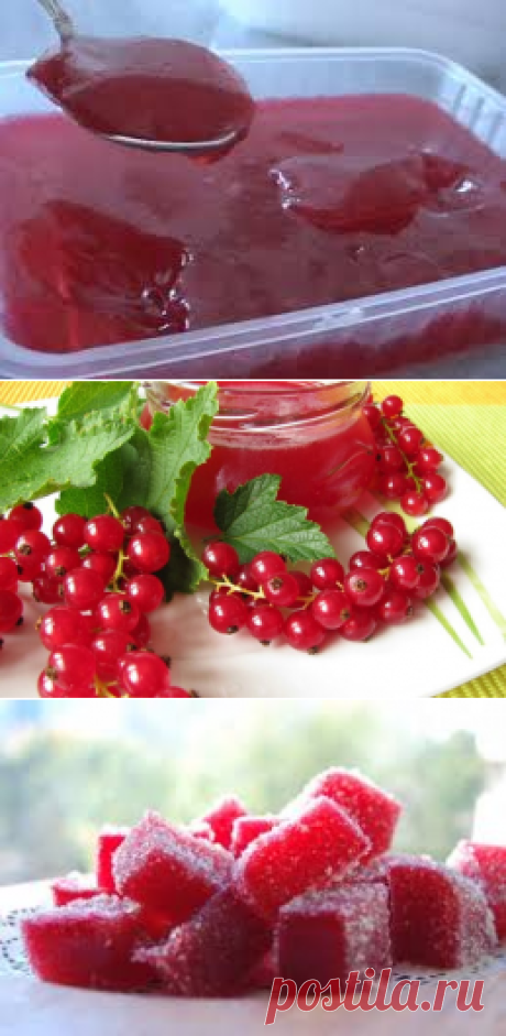 Красная смородина - рецепты заготовок на зиму и вкусные десерты