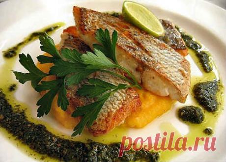 Как приготовить зубатку (синюю) - 10 вкусных рецептов