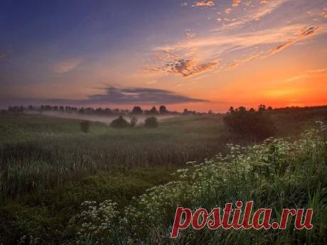 (101) Алтарь из кафедрального собора в Камерино,... - Сергей Свистунов