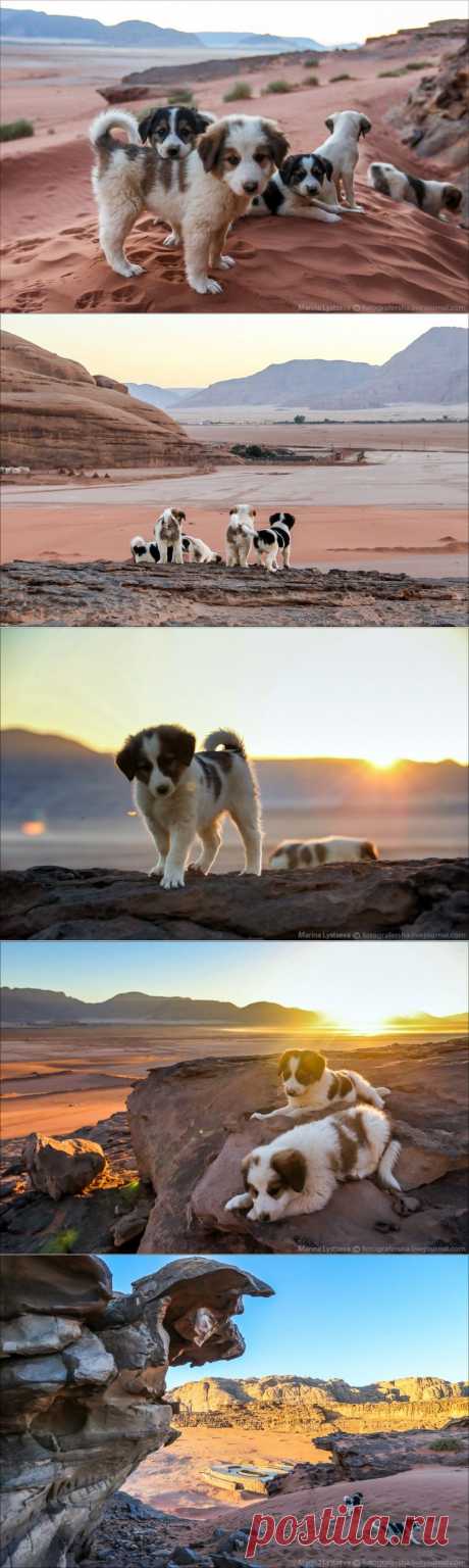 Иордания, пустыня… Фотограф Марина Лысцева — Фотоискусство