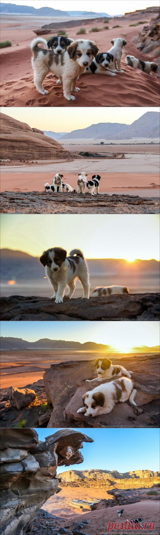 Иордания, пустыня… Фотограф Марина Лысцева — Фотоискусство