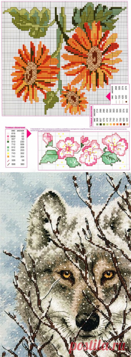 Вышивка крестом - 50 схем цветов и композиций