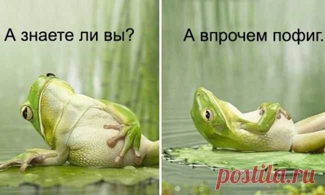 Искусство послать все к чертям