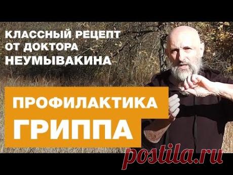 Профилактика Простуды и Грипа - Доктор Неумывакин