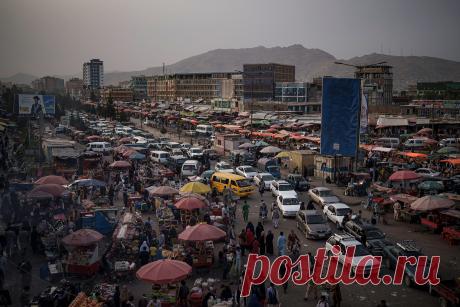 Россия аккредитовала первого дипломата от правительства талибов. Глава МИД Ларов отметил, что дипломатические усилия способствуют международному признанию новой афганской власти. В декабре прошлого года новое правительство Афганистана заявило, что назначит посла в Москве
