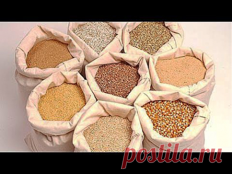 ▶ Органические удобрения своими руками. GuberniaTV - YouTube