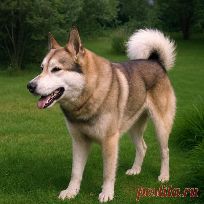 Шанс на чудо - Готовим так!