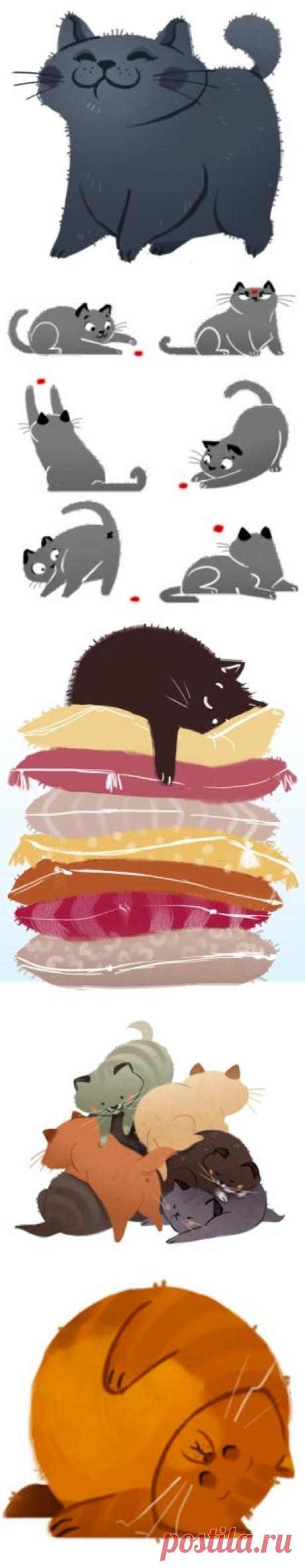 Иллюстрации кошек DAILY CAT DRAWINGS
