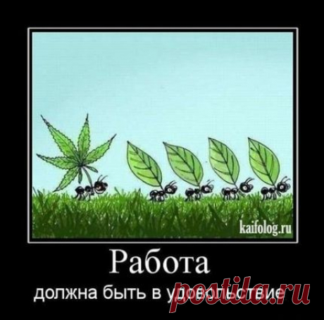 Мой Мир@Mail.Ru