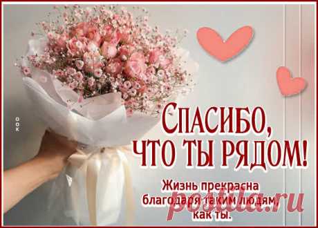 Благодарю за теплоту.
И за внимание спасибо.
Ведь с ними верится в мечту.
Пускай добро будет взаимно!