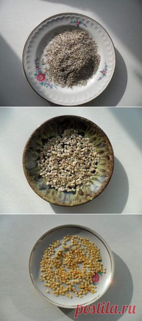 Болезни растений передающиеся через семена