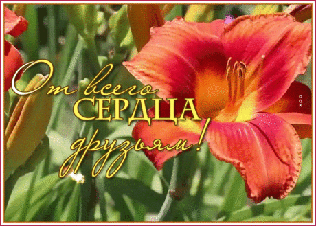 Позитивная открытка спасибо за дружбу