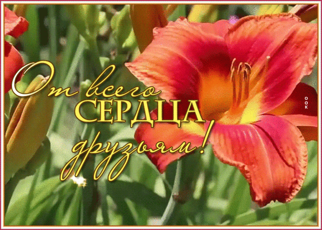 Позитивная открытка спасибо за дружбу