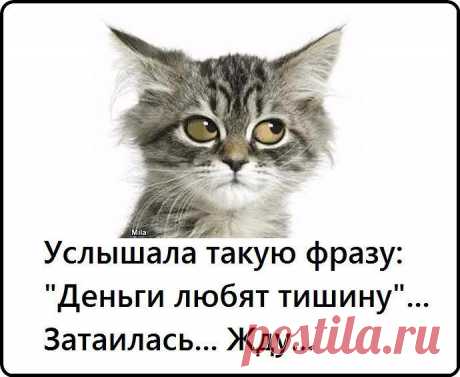 Моя девушка вчера постриглась. Пришла, спрашивает, ну как?...