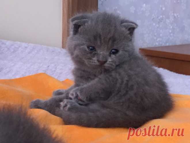 Редактировать описание