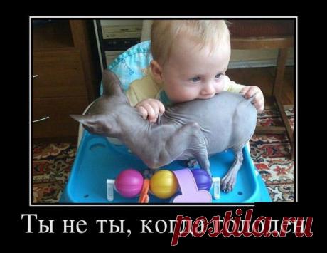 Демотиваторы дня от 02-10-2014 — Демотиваторы — Релакс!
