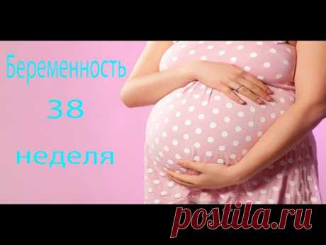 38 НЕДЕЛЯ БЕРЕМЕННОСТИ