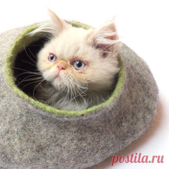 Только божество счастливо своей бесполезностью.