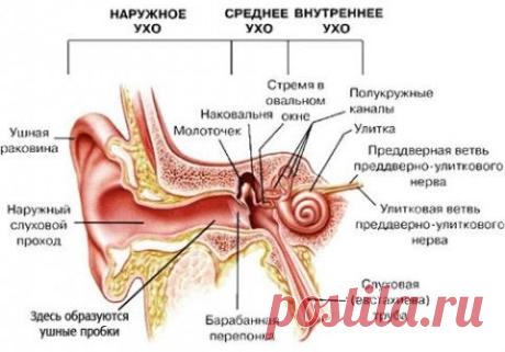 Наше здоровье