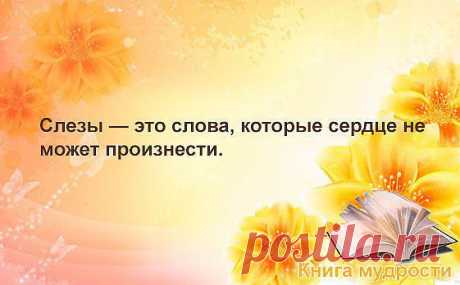 венера: Свою жизнь надо устраивать до тех пор,пока жизнь не начнет устраивать тебя