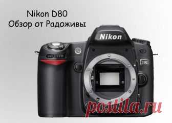 Обзор Nikon D80 body. Отзывы на Nikon D80 от Радоживы | Радожива