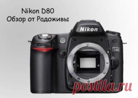 Обзор Nikon D80 body. Отзывы на Nikon D80 от Радоживы | Радожива