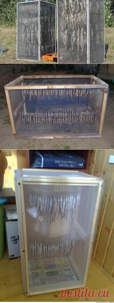 Сушеная рыбка!