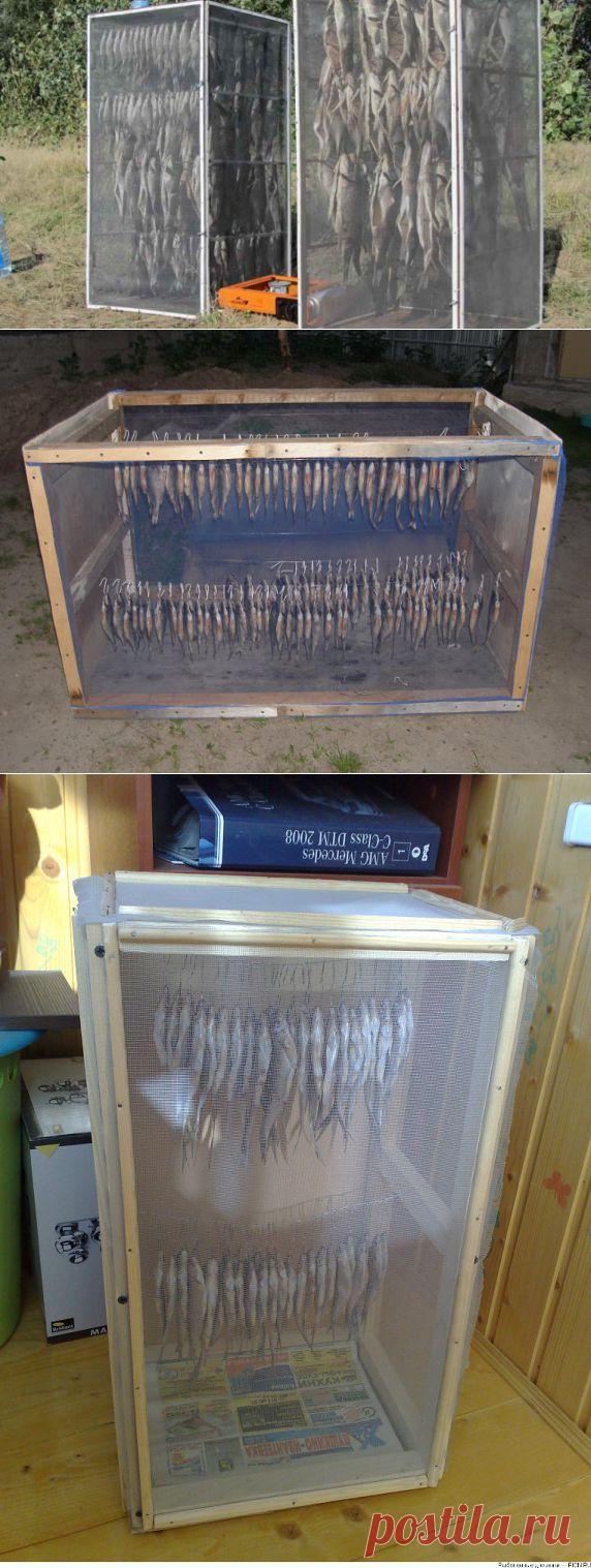 Сушеная рыбка!