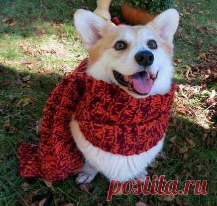 Доброе осеннее утро!
#радиоромантика #radioromantika #radioromantika