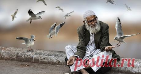 Притча о том, как не ошибаться в людях
У мудреца было несколько учеников, которым он иногда давал индивидуальные уроки. Это не были уроки в общепринятом смысле, когда ученику надо было что-то выучить, а потом рассказать об этом. Это были уроки на примере разных жизненных ситуаций. И однажды мудрец позвал с собой ученика к месту, где группа рабочих грузила в повозки камни и поленья. […]
Читай пост далее на сайте. Жми ⏫ссылку выше