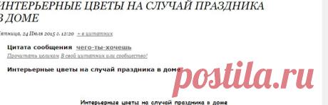 ИНТЕРЬЕРНЫЕ ЦВЕТЫ НА СЛУЧАЙ ПРАЗДНИКА В ДОМЕ