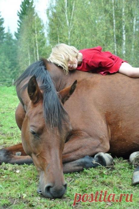 Мой Мир@Mail.Ru