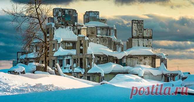 Фото из из фотогалереи к материалу 