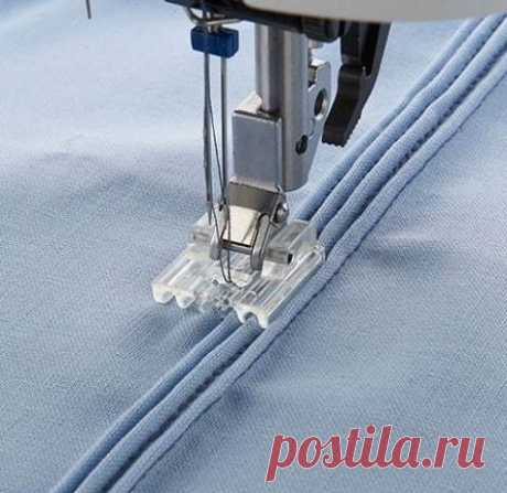 Разновидность лапокСчастье для каждой рукодельницы 

 #шить #шитьемое #шитьлегко #шитьмодно #шитьедетям #шитьедлядетей #шитьздорово #шитькруто #шитьеикрой #шитьемоехобби #шитье #выкройки #кройка #идеи #урокишитья #моделирование #sewing #patterns #рукоделие #handmade #sewinglessons