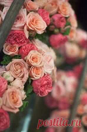 Чудесные цветы. Beautiful flowers