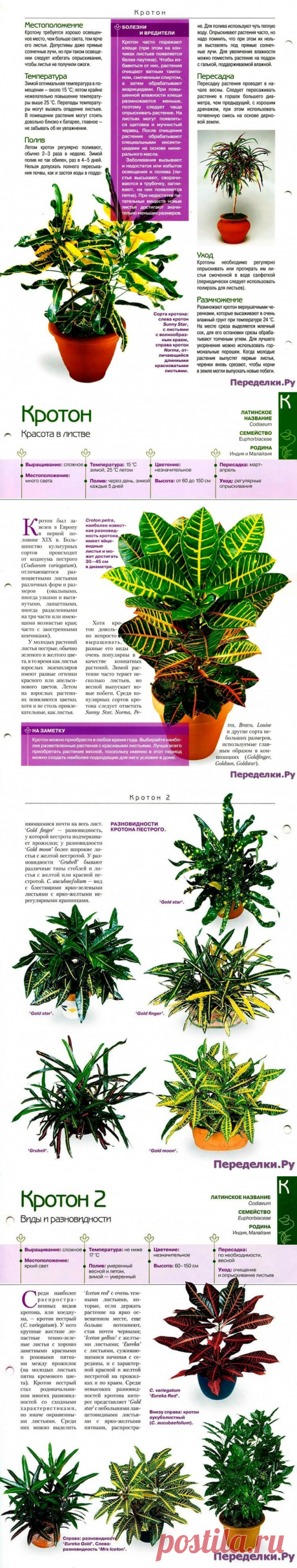 Кротон - Переделки.РуПеределки.Ру