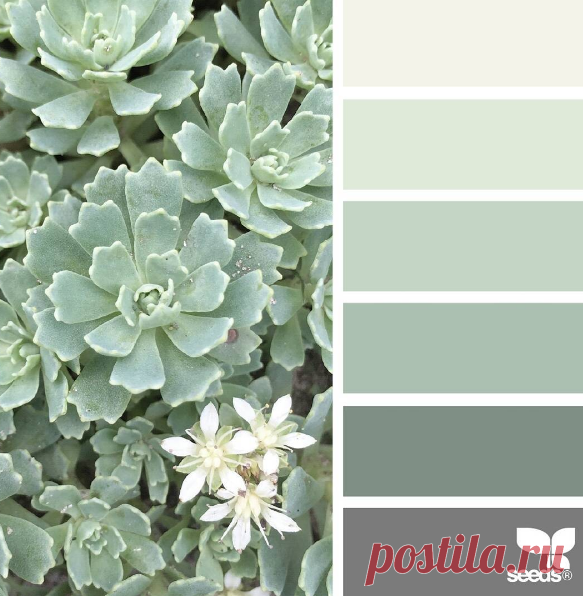 jessica colaluca (@designseeds) • Фото и видео в Instagram