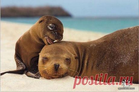 Всем добра.