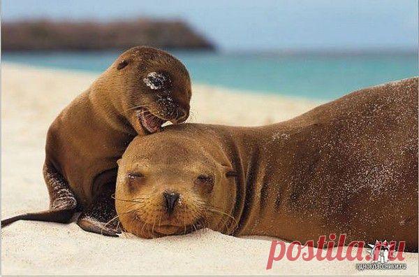 Всем добра.