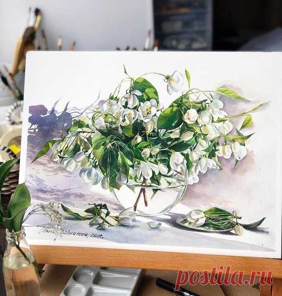 Ботаническая иллюстрация от художницы Марии Мишкаревой 🌸