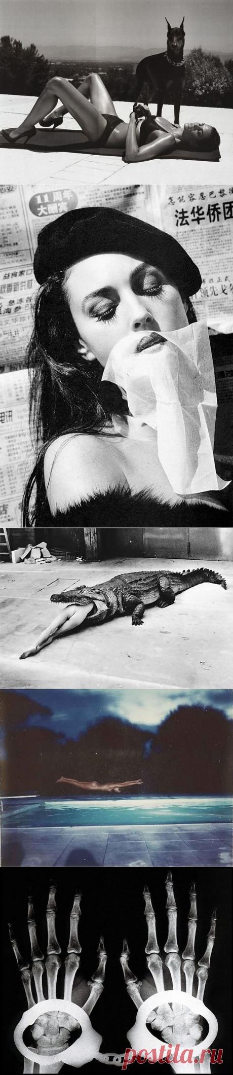 20 знаменитых фотографий Хельмута Ньютона : НОВОСТИ В ФОТОГРАФИЯХ