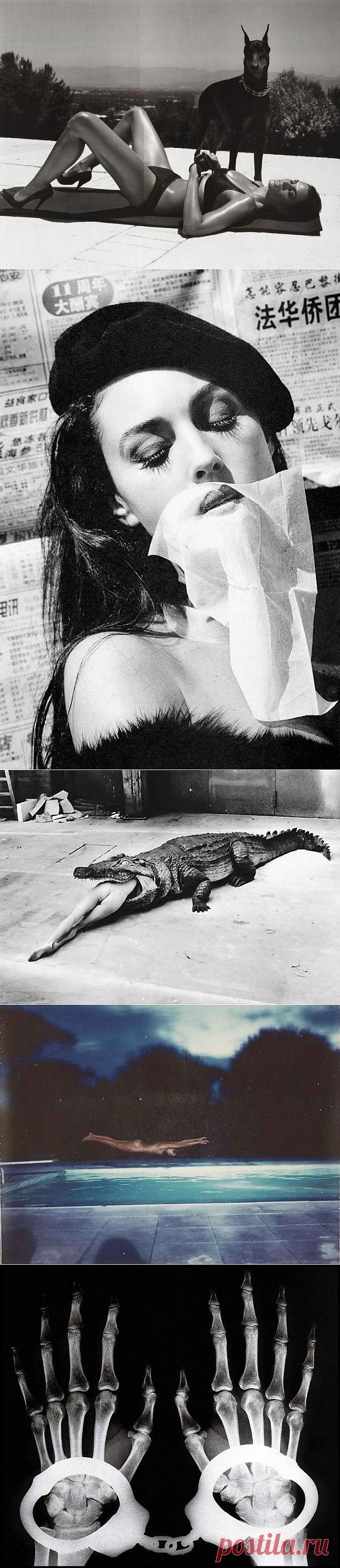 20 знаменитых фотографий Хельмута Ньютона : НОВОСТИ В ФОТОГРАФИЯХ